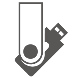 Standard Flash Memory